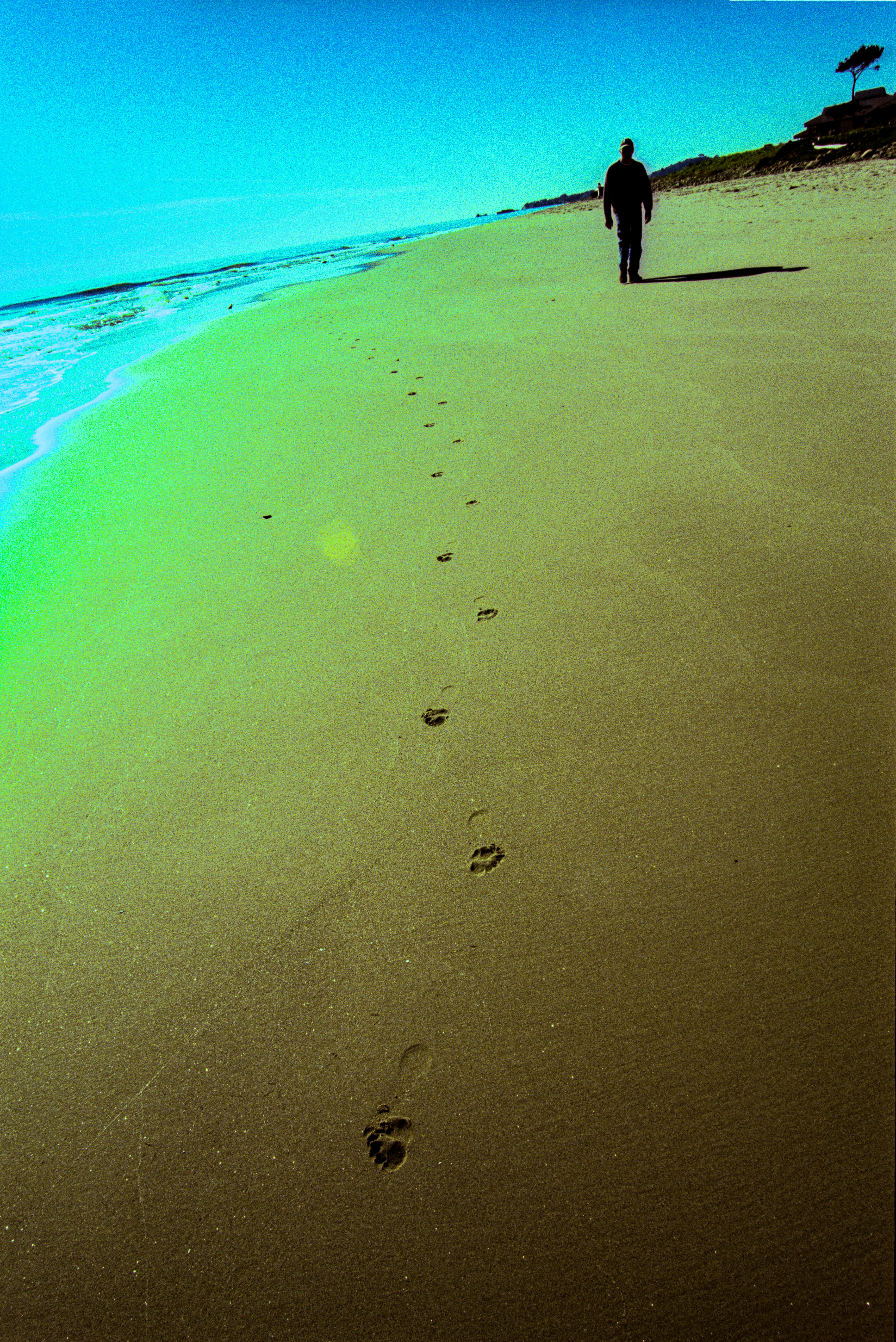 green and white stones on beach shore during daytime